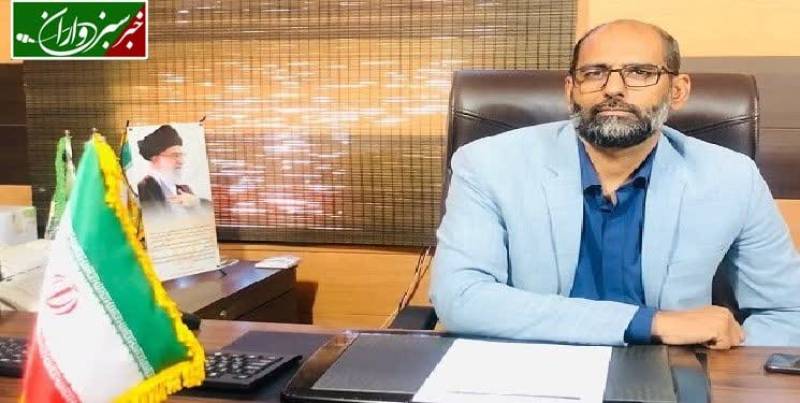 ۷۲۰۰ تن محصول بادمجان گلخانه ای در عنبرآباد برداشت می شود