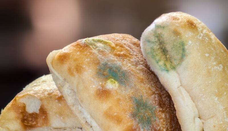 کپک روی مواد غذایی؛ کاملا دور بیاندازیم یا فقط آن قسمت را جدا کنیم؟