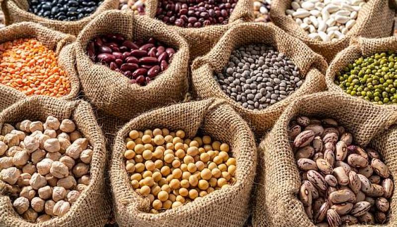 افراط در مصرف غلات باعث زوال عقل می‌شود!