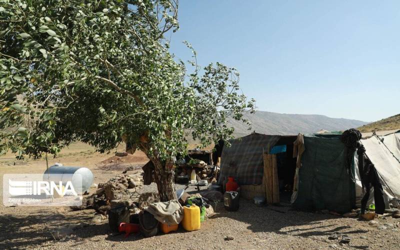 جابه‌جایی ۱۰ هزار دام و ۳۰ خانوار عشایر جنوب کرمان پیش از وقوع سیل