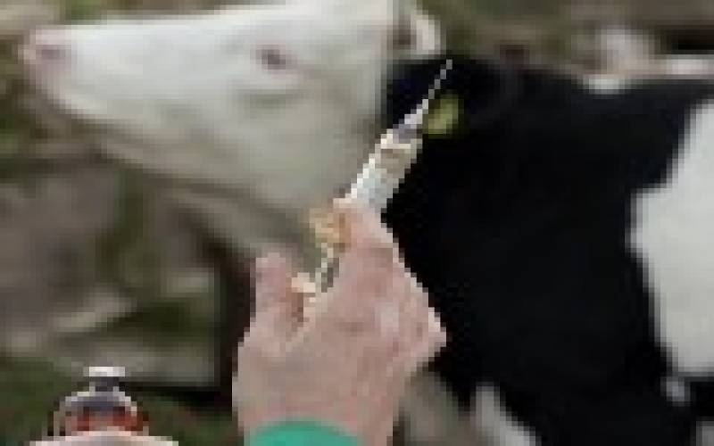 جلوگیری از واردات واکسن‌های دامی دارای مشابه داخلی