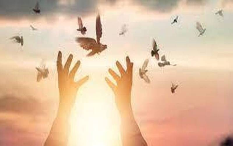 با کمک ۳۵ میلیاردی خیّران جیرفتی زمینه آزادی ۳۰ زندانی مهیا شد.