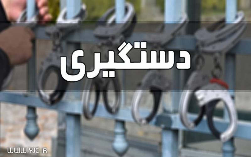 عامل رعب و وحشت در جنوب کرمان دستگیر شد