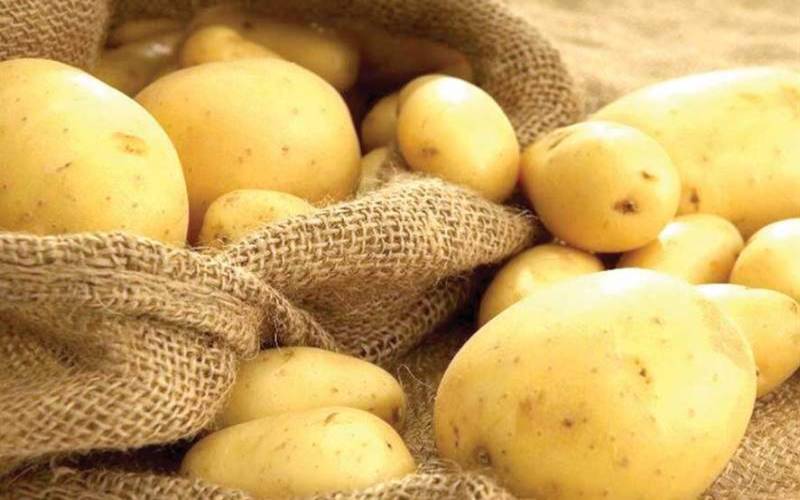 از میزان تولید سیب‌زمینی در جنوب کرمان تا کاهش قیمت در روزهای آینده