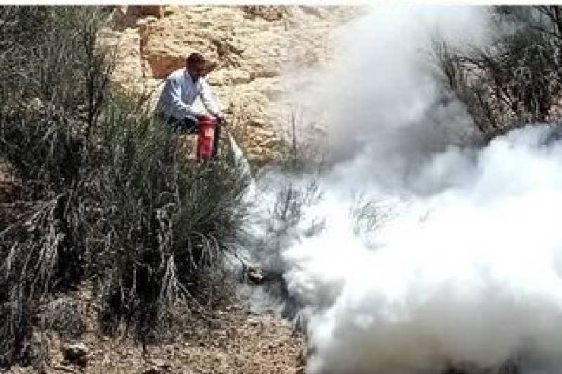 سهل انگاری یک کشاورز آتش را به دامن مراتع دلفارد جیرفت انداخت