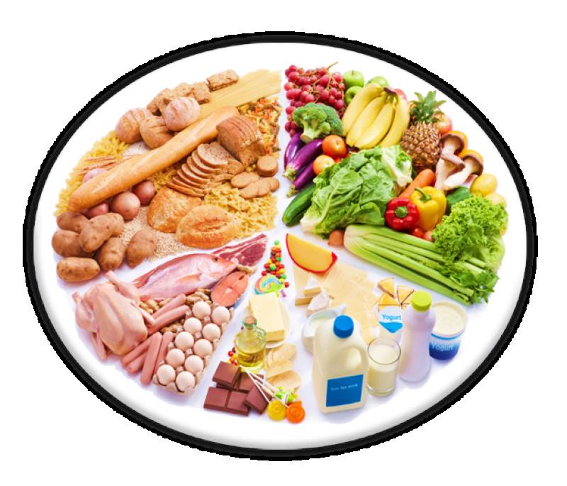 آیا رژیم گرفتن به معنای مدام گرسنه ماندن است؟