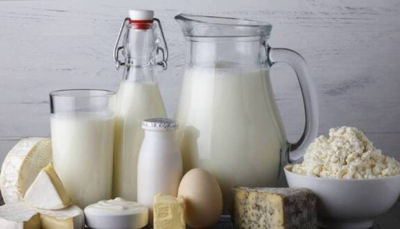 لبنیات غیرپاستوریزه؛ عامل پنهان بیماری‌های خطرناک مشترک انسان و حیوان