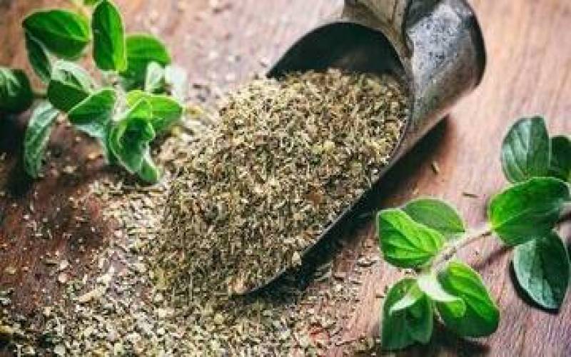 یک گیاه دارویی مناسب برای تخامه و آروغ‌های بدبو