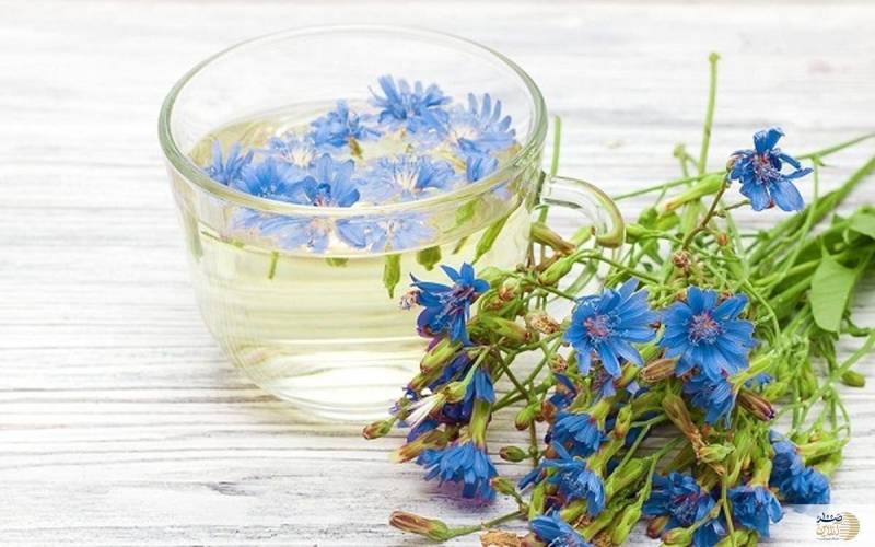 این گیاه قاتل کبد چرب شماست