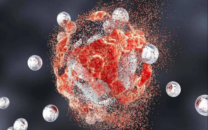 میوه‌ای که مانع رشد توده‌های سرطانی می‌شود