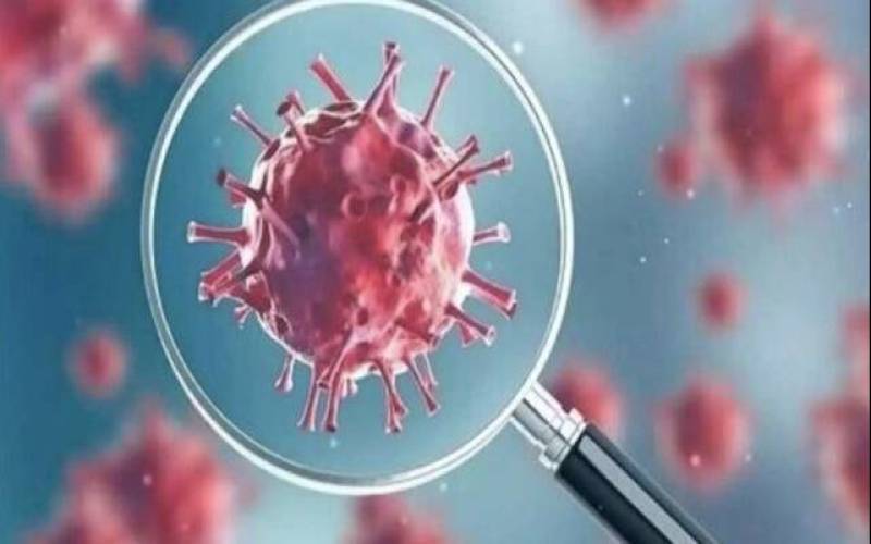 کرونا در صدر ویروس‌های تنفسی طی هفته گذشته