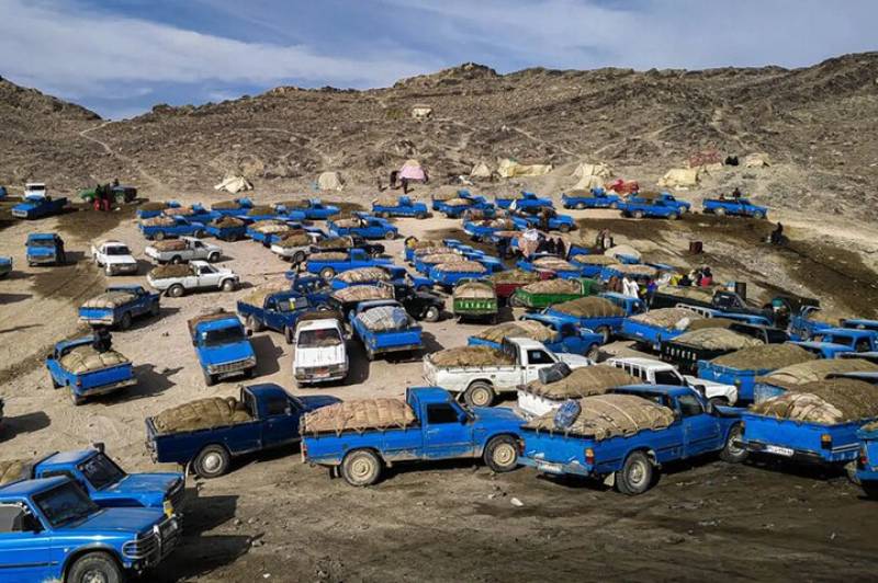 تاخت و تاز ماشین های سوخت بر در جاده های جنوب کرمان